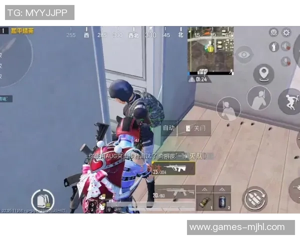 2026电竞新闻与刘娜畅聊和平精英的成长历程与职业生涯的精彩瞬间